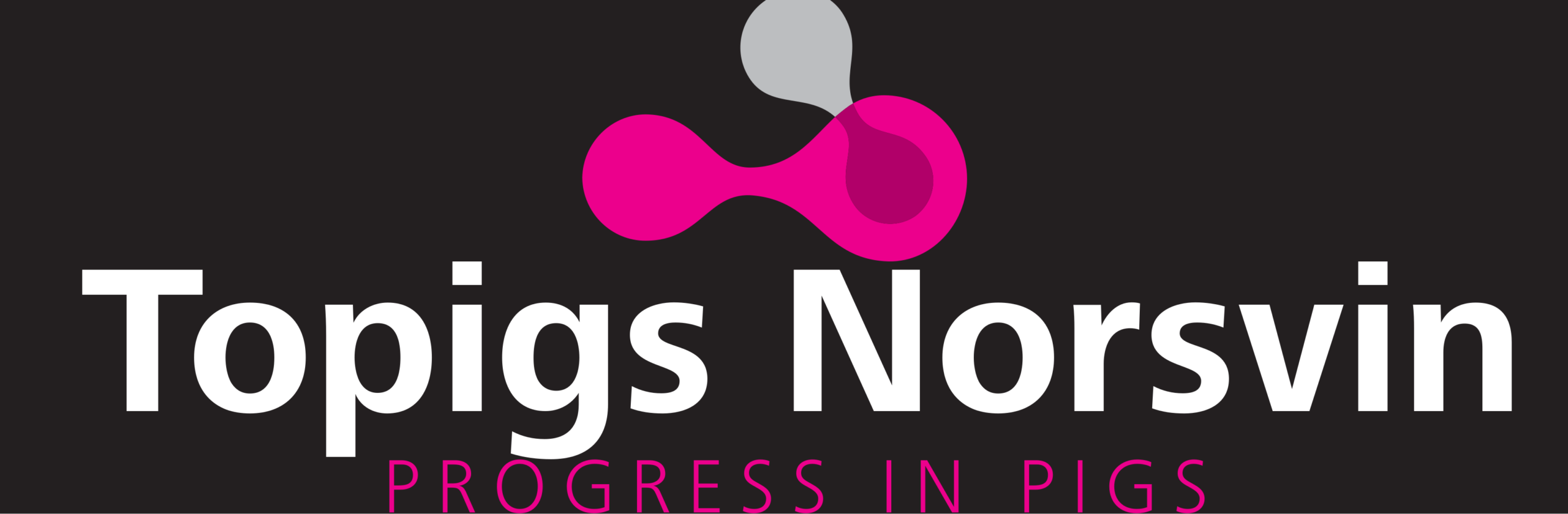 Topigs Norsvin